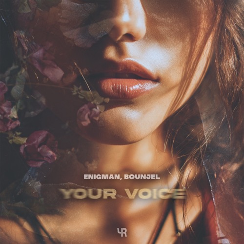 Your Voice