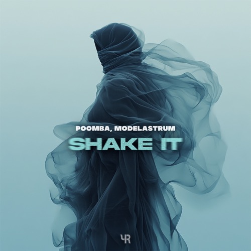 Shake It (Slow Instrumental)