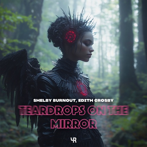 Teardrops On The Mirror